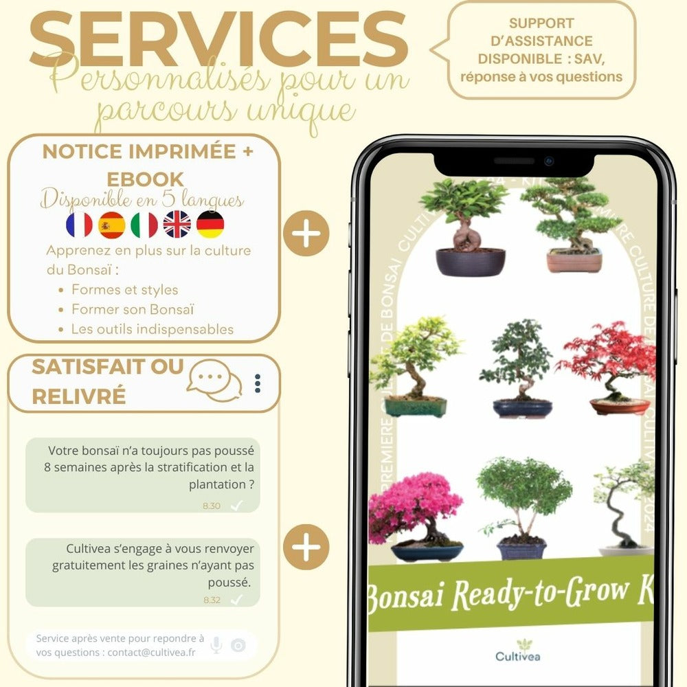  Cultivea- Kit First Bonsai Serissa Foetida Avec Accesoires