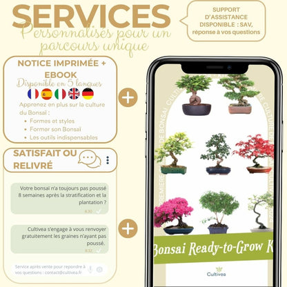  Cultivea- Kit First Bonsai Serissa Foetida Avec Accesoires