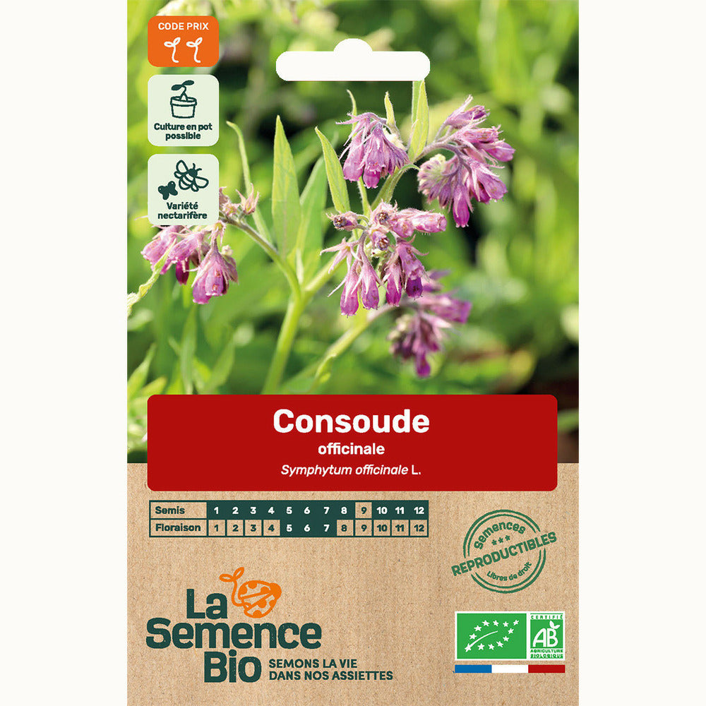  Consoude Officinale - Graines Bio