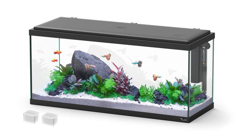 AQUATLANTIS Aquarium Explorer Amsterdam 80 Noir : L.80xP.30xH.37 Cm - 85 Litres