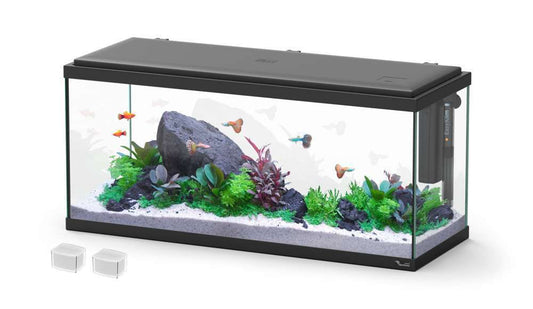 AQUATLANTIS Aquarium Explorer Amsterdam 80 Noir : L.80xP.30xH.37 Cm - 85 Litres
