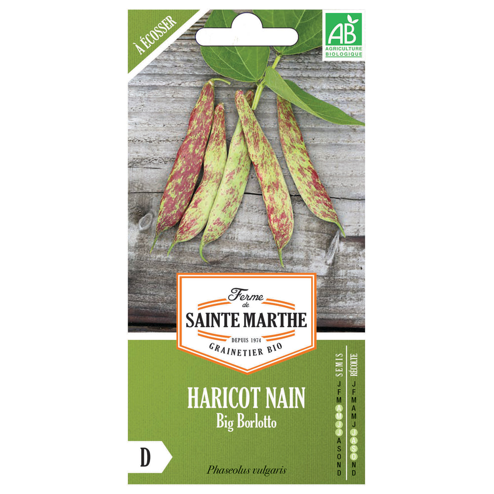  Graines De Haricot Nain Big Borlotto Bio Boite 80 G