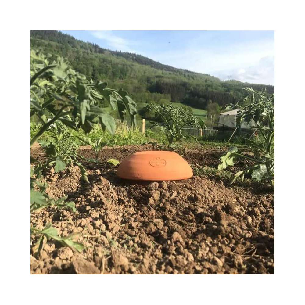 Céramique D'irrigation Ollas Jamet Origin N°3 - 3L