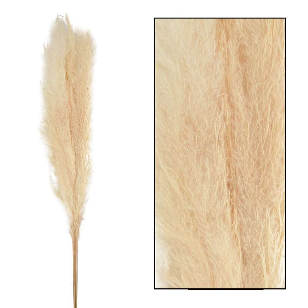  Bouquet Séché Pampas Mace 115-117cm 3pcs