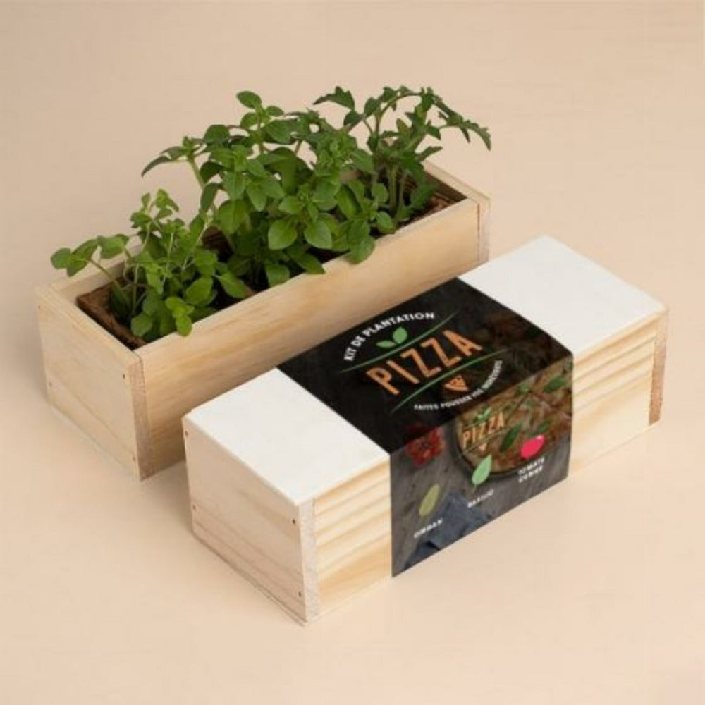  Kit D'auto-culture Complet Culinaire Pizza