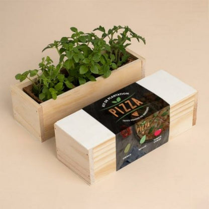  Kit D'auto-culture Complet Culinaire Pizza