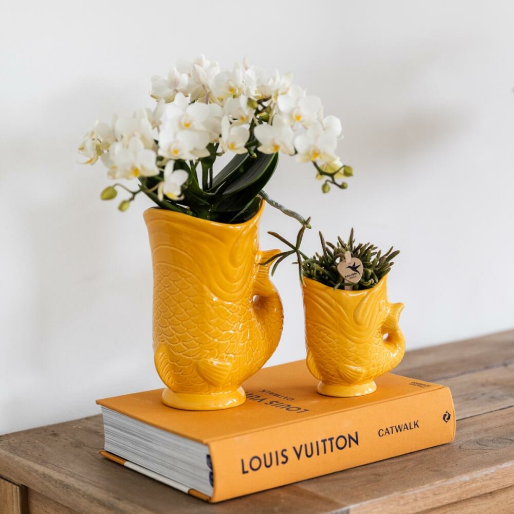  Kolibri Orchids Set D'orchidées Nazaréennes Blanches Et De Succulentes Dans Un Pot à Poisson Orange Décoratif