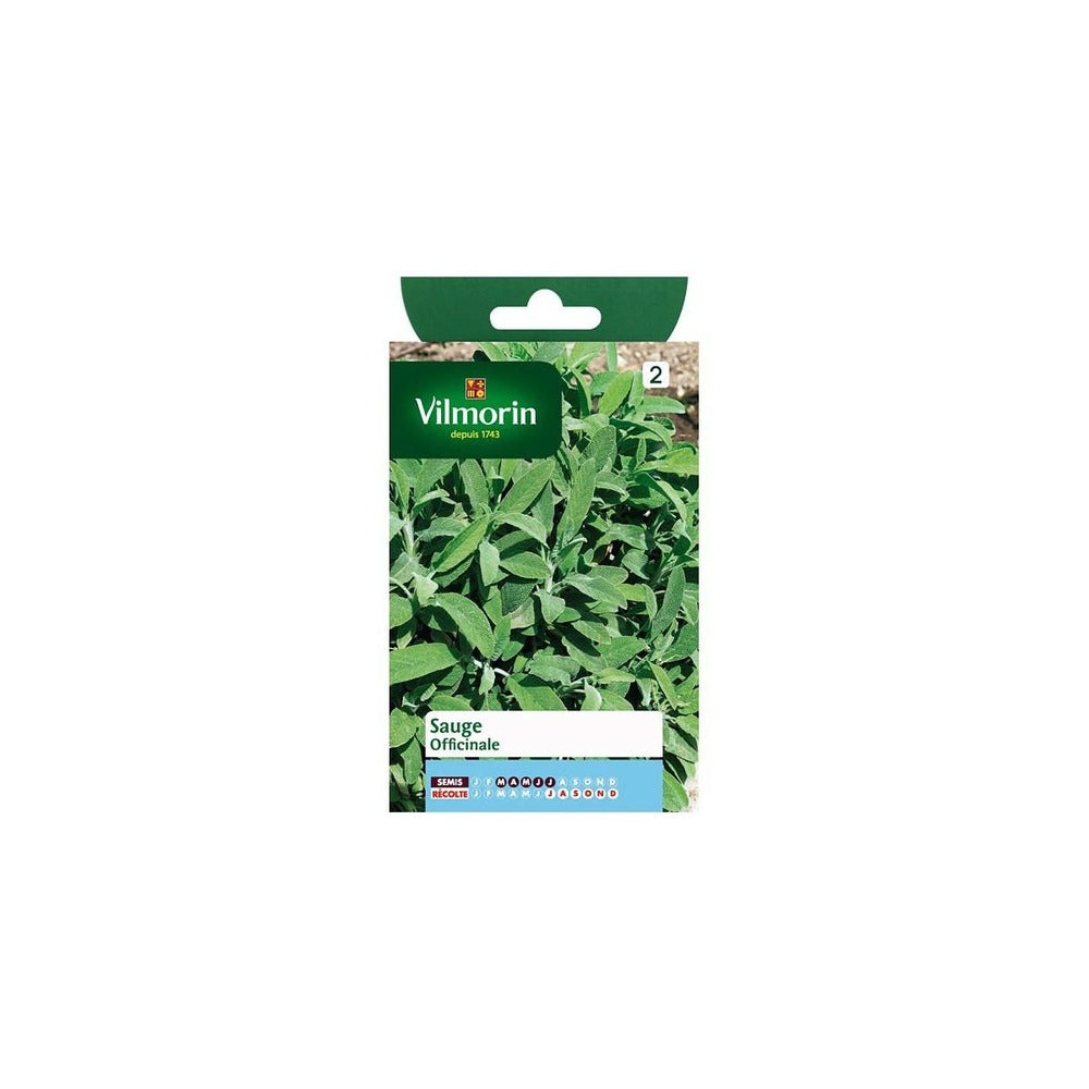  Sachet Graines Sauge Officinale