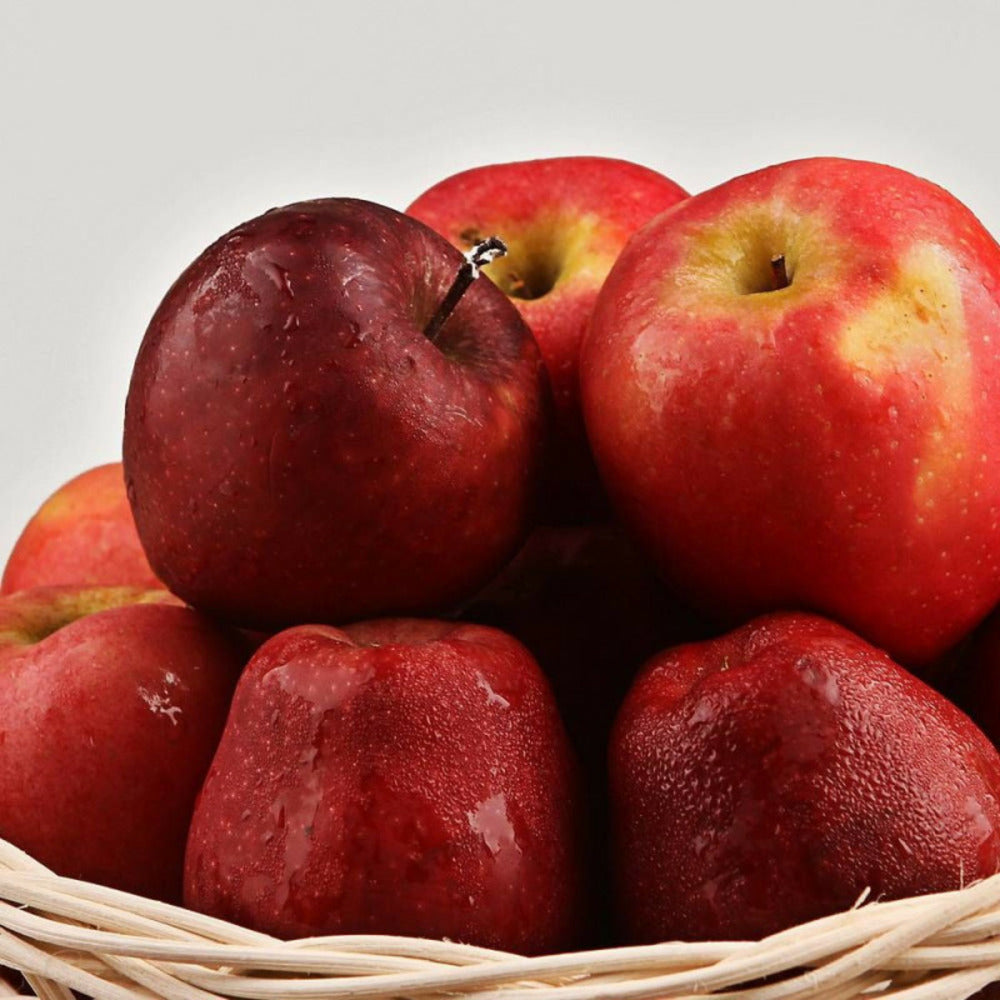  Pommier Boskoop Rouge/[-]pot De 15l - Palmette Oblique - 150/175 Cm