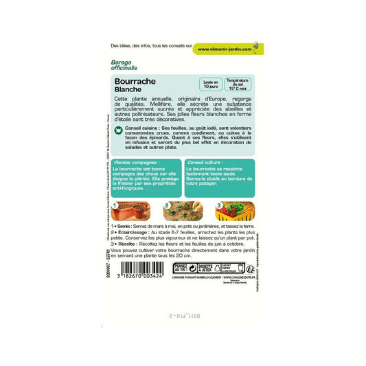  Sachet Graines Bourrache Blanche