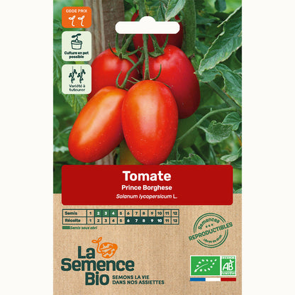  Tomate Prince Borghese - Graines Bio