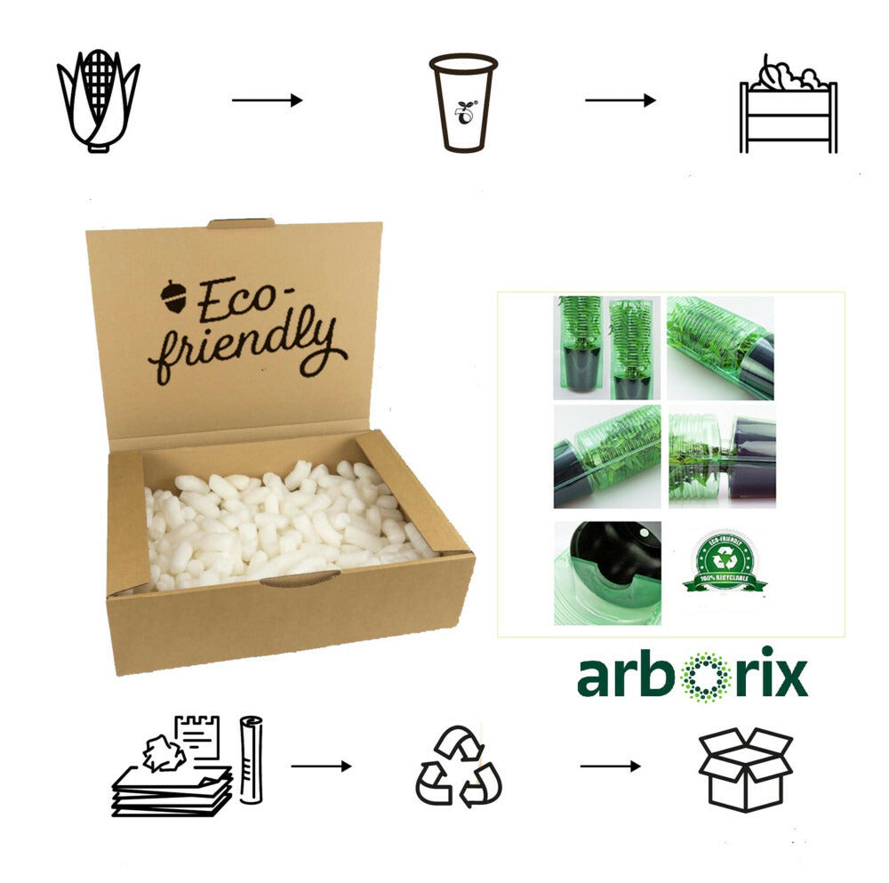  Kordes Rose Des Fées - Rosa 'queen Elizabeth'