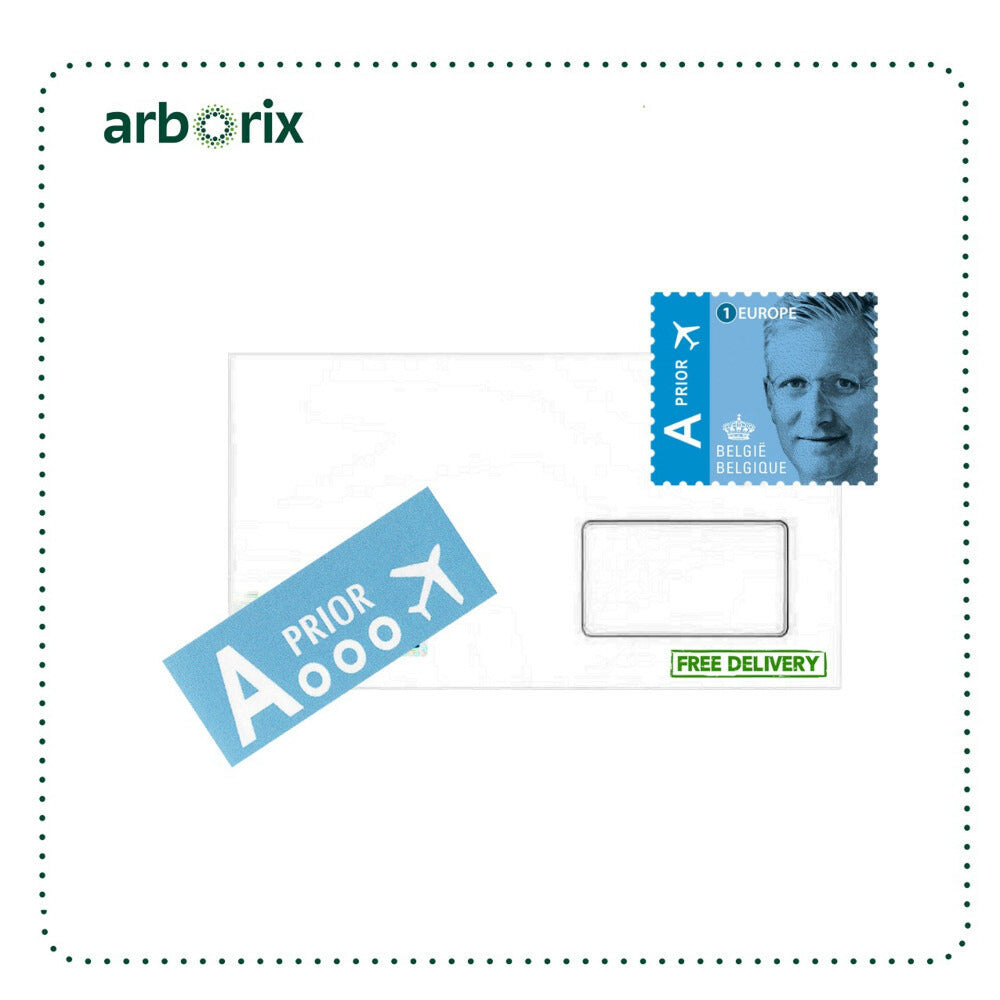  Oignon Rijnsburger - Ca. 4 Gr (livraison Gratuite)