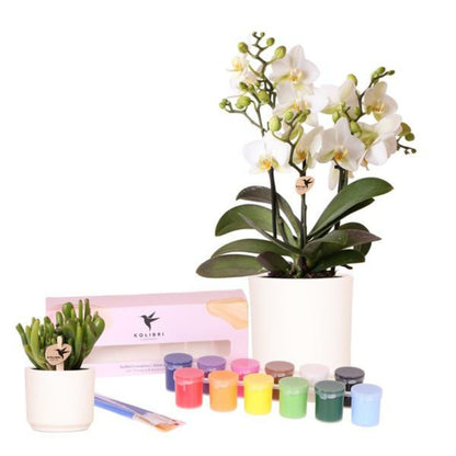  Coffret Créatif Visionnaire 8 : Orchidées & Succulentes