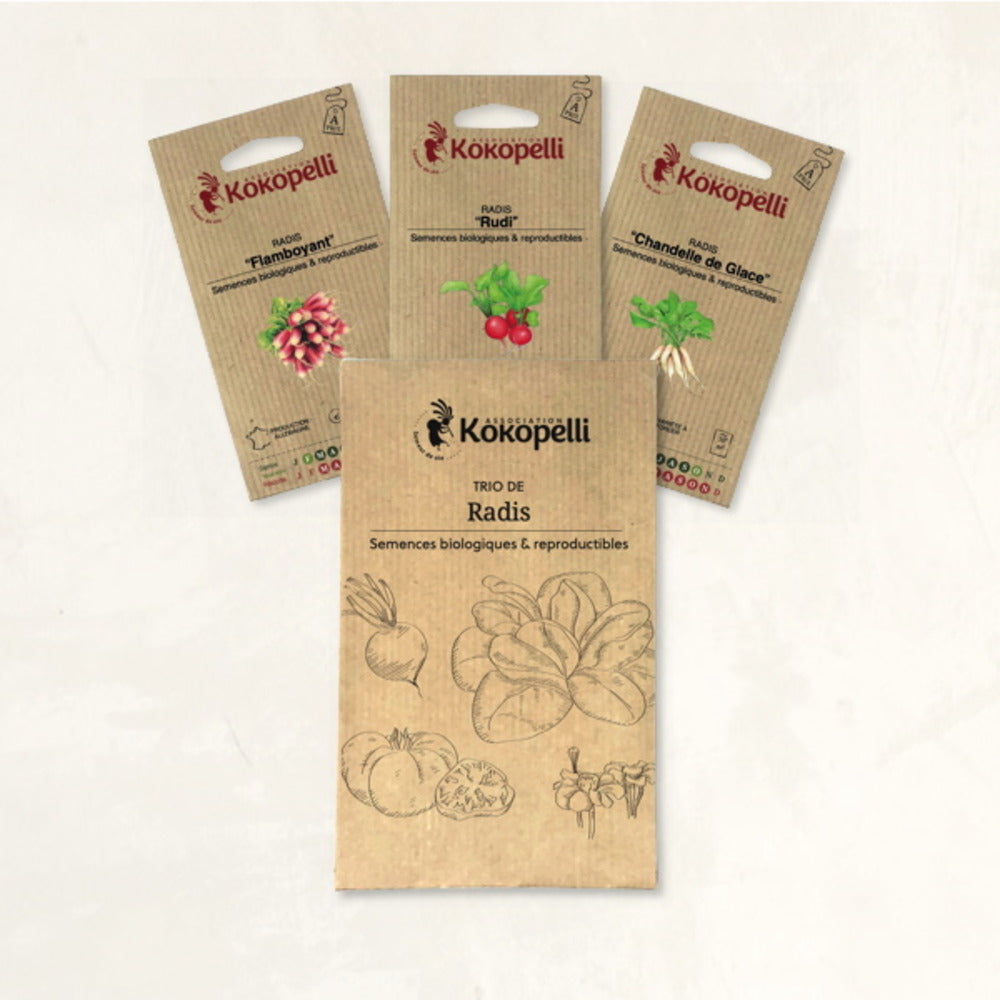  Radis Aux Formes Variées - 3 Sachets De Graines Bio à Semer