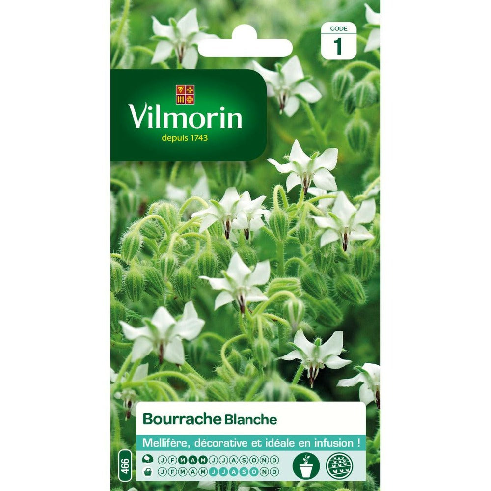  Sachet Graines Bourrache Blanche