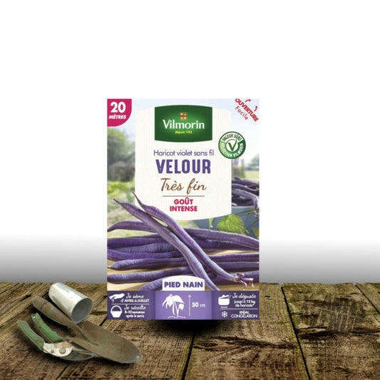  Graines De Haricot Nain Mangetout Velour - Vilmorin/[-]boite - 5 Mètres
