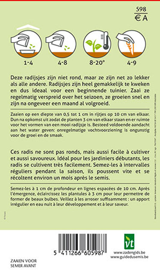  Radis Flamboyant - Ca. 10 Gr (livraison Gratuite)