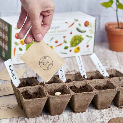 Cultivea Le Kit Prêt à Pousser Petit Potager Saveurs Anciennes - Herbes Aromatiques, Tomates, Chou Kale, Carotte