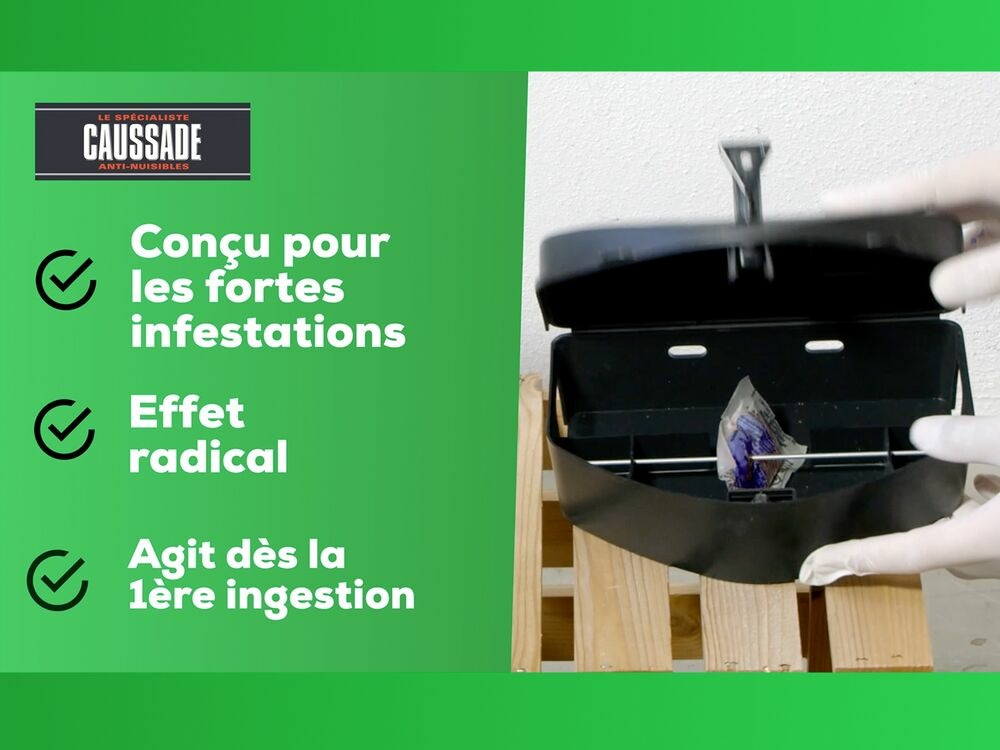  Carpt720 Lot De 4 Boîtes Raticide Canadien Pat'appât Fortes Infestatio