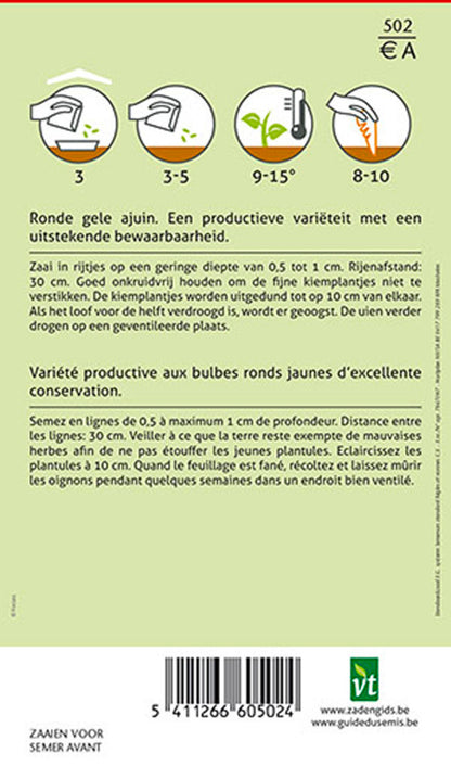  Oignon Rijnsburger - Ca. 4 Gr (livraison Gratuite)