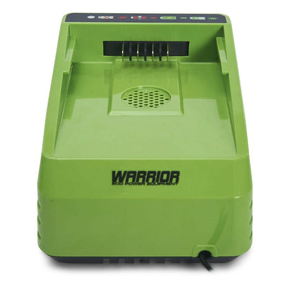  Chargeur De Batterie Lithium 60v Charge Rapide Warrior