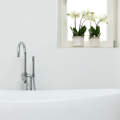  Orchidée Phalaenopsis Blanche - Jewel Ghent - Taille Du Pot 12cm - Frais Du Producteur