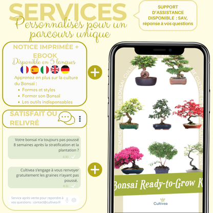  Cultivea- Kit First Bonsai Phoenix Tree Avec Accesoires