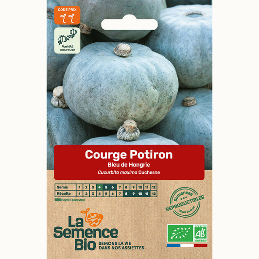  Courge Potiron Bleu De Hongrie - Graines Bio