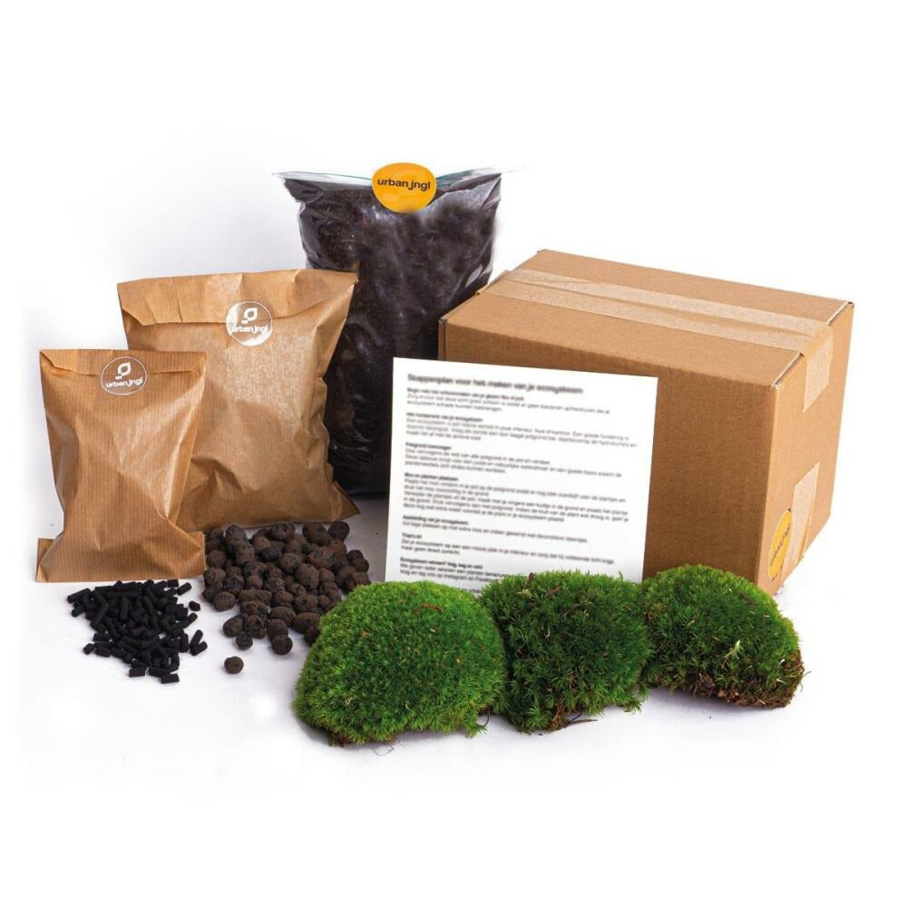  Green Your Bottle - Kit Complet Pour Ton Propre Jardin De Bouteilles - Kit De Démarrage Sans Verre - Sans Plantes