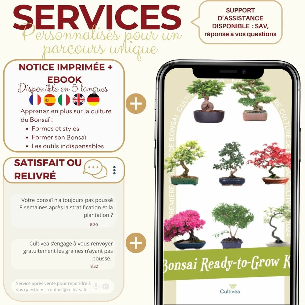  Cultivea - Kit First Bonsai Hackberry Avec Accesoires