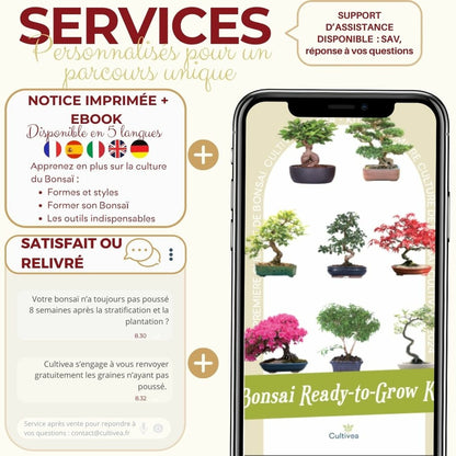  Cultivea - Kit First Bonsai Hackberry Avec Accesoires