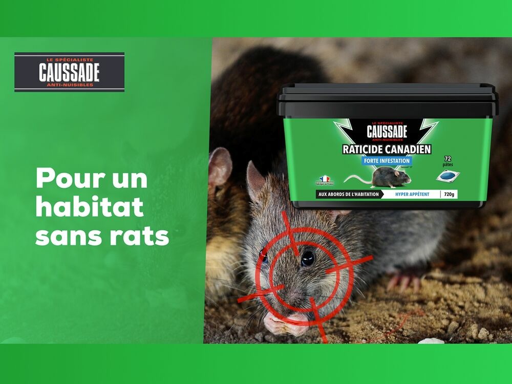  Carpt720 Lot De 4 Boîtes Raticide Canadien Pat'appât Fortes Infestatio