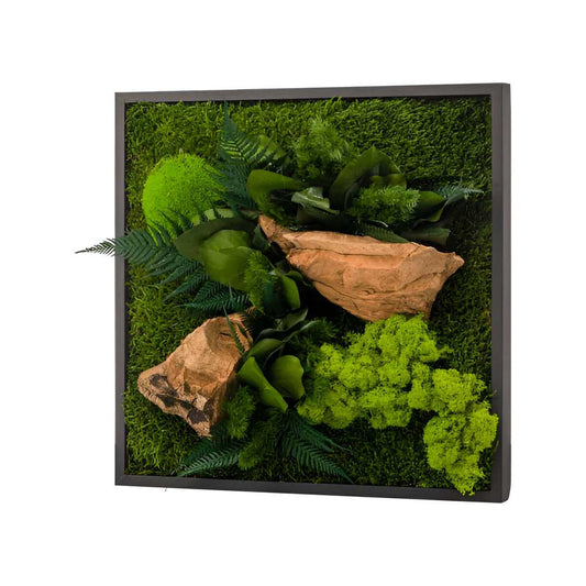  Tableau Végétal Stabilisé Canopé Carré