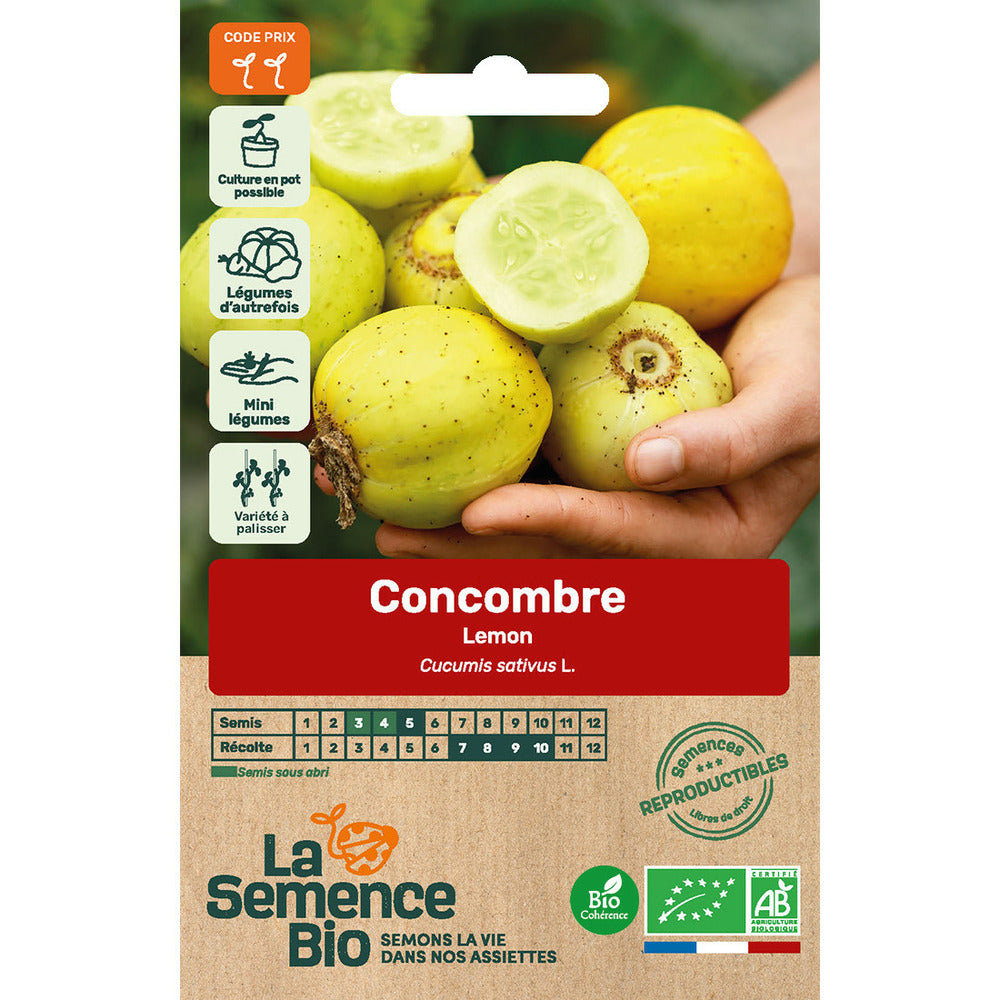  Concombre Lemon - Graines Bio