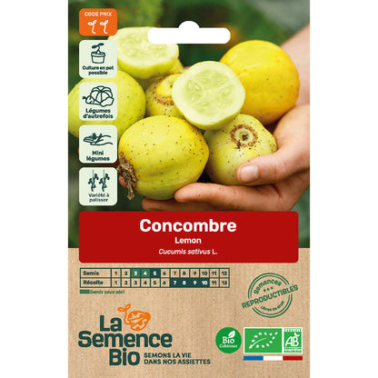  Concombre Lemon - Graines Bio
