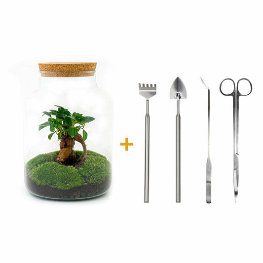  Kit Terrarium Diy - Mila Sans Led Ficus - Rateau + Pelle + Pince + Ciseaux