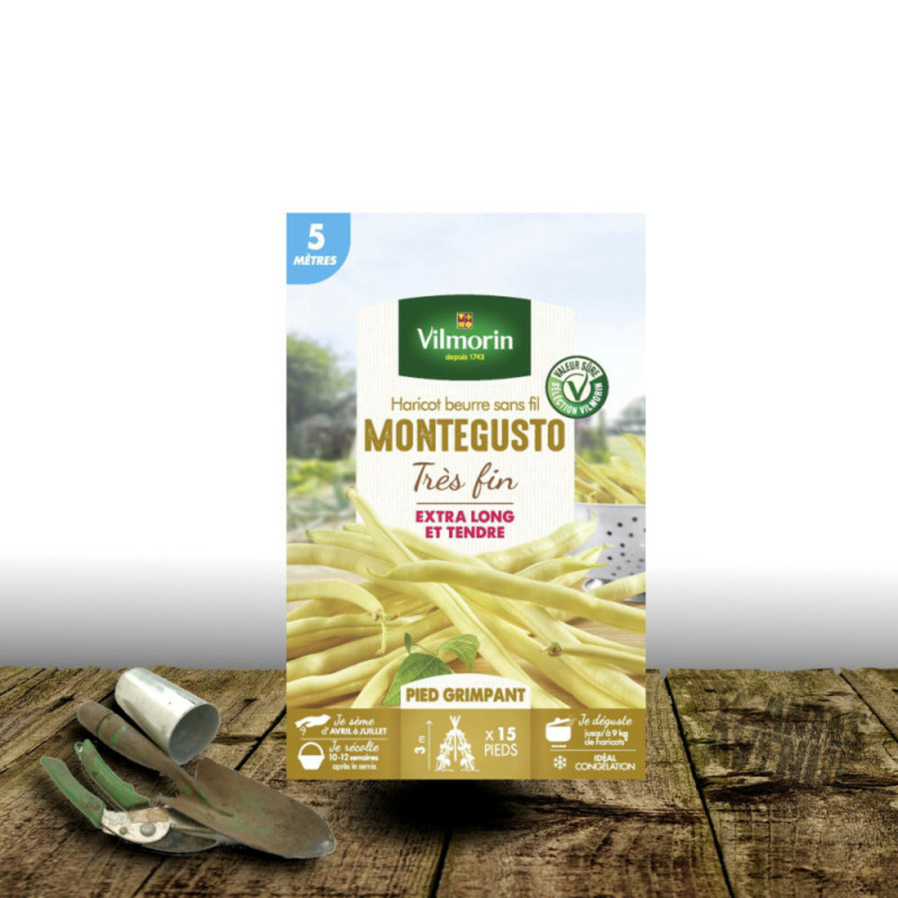  Graines De Haricot Grimpant Beurre Monte Gusto - Vilmorin/[-]boite - 10 Mètres