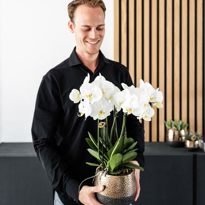  Offre Combinée : 2 Orchidées Phalaenopsis Blanches En Fleurs Cm - Plante D'intérieur