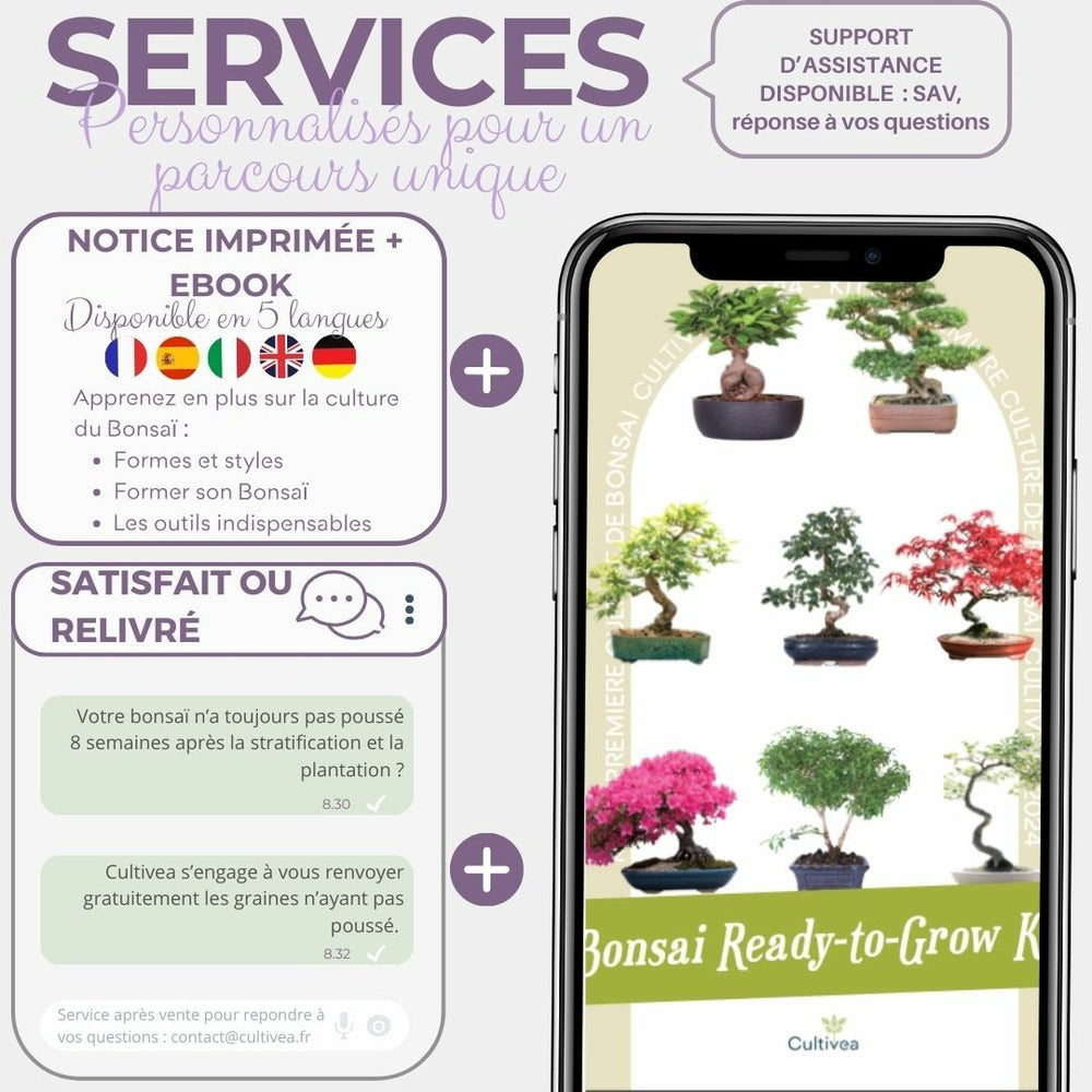  Cultivea - Kit First Bonsai - Graines De Cercis Chinensis Avec Accessoires