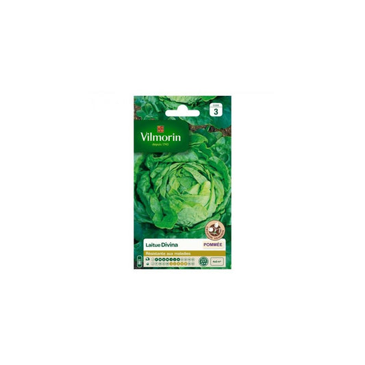  Sachet Graines Laitue Divina