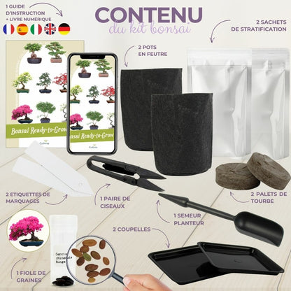  Cultivea - Kit First Bonsai - Graines De Cercis Chinensis Avec Accessoires