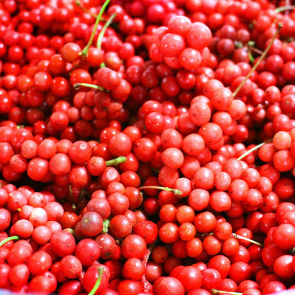  Fruit De La Vitalité - Le Pot / 2l / Hauteur Livrée 40-50cm