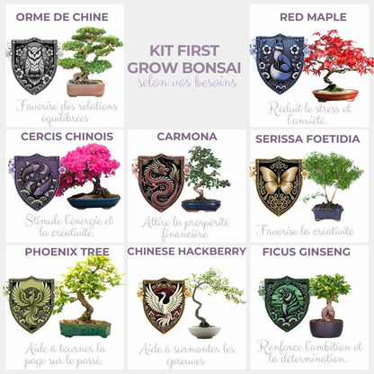  Cultivea - Kit First Bonsai - Graines De Cercis Chinensis Avec Accessoires