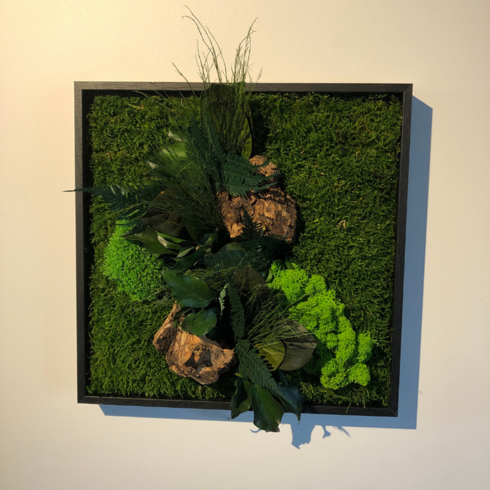  Tableau Végétal Stabilisé Canopé Carré