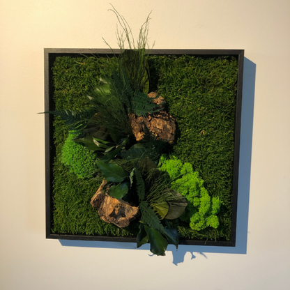  Tableau Végétal Stabilisé Canopé Carré
