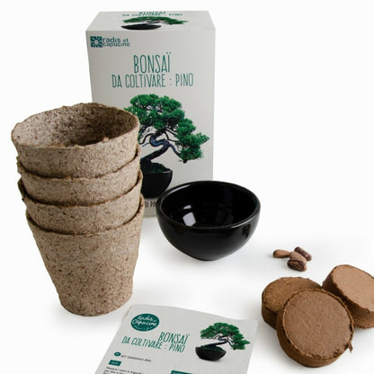  Kit De Culture Bonsaï Avec Pot